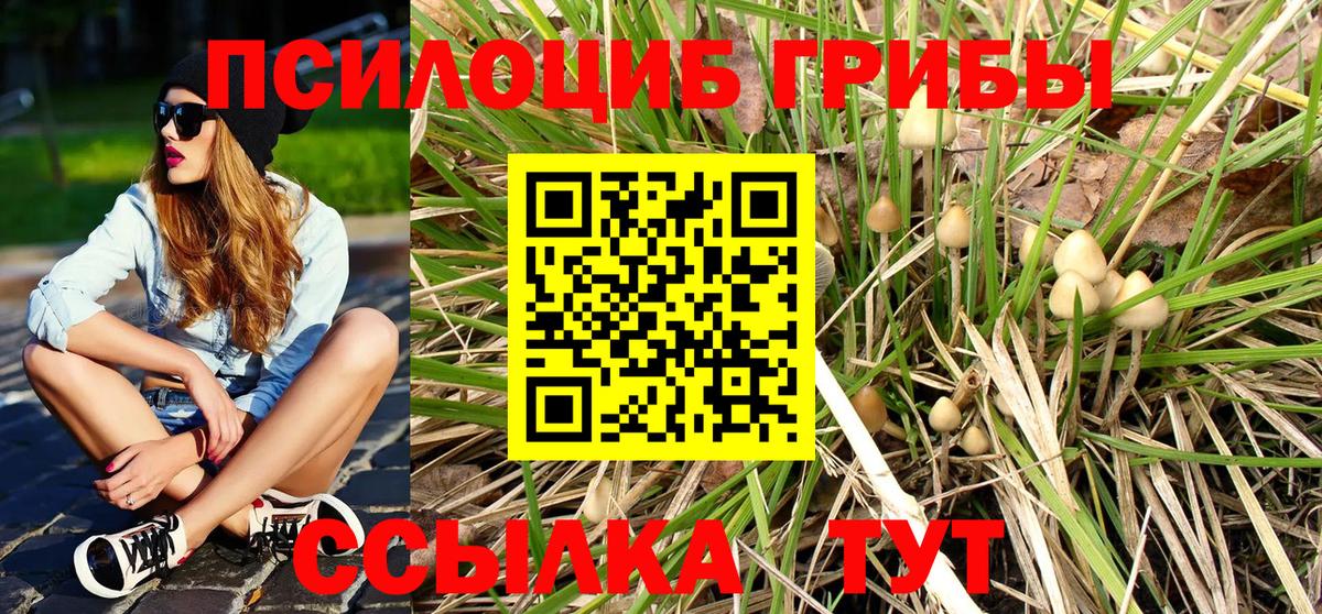 Псилоцибиновые грибы Magic Shrooms  Вход с VPN  Белгород 
