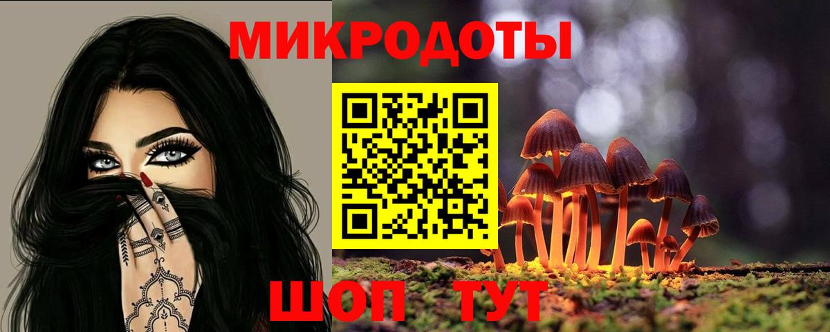 Псилоцибиновые грибы мицелий Белгород